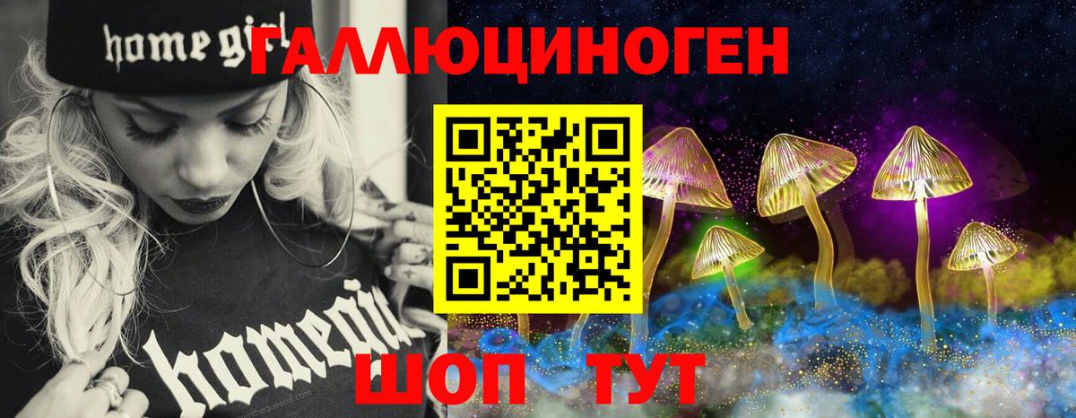 Галлюциногенные грибы Psilocybe Тверь