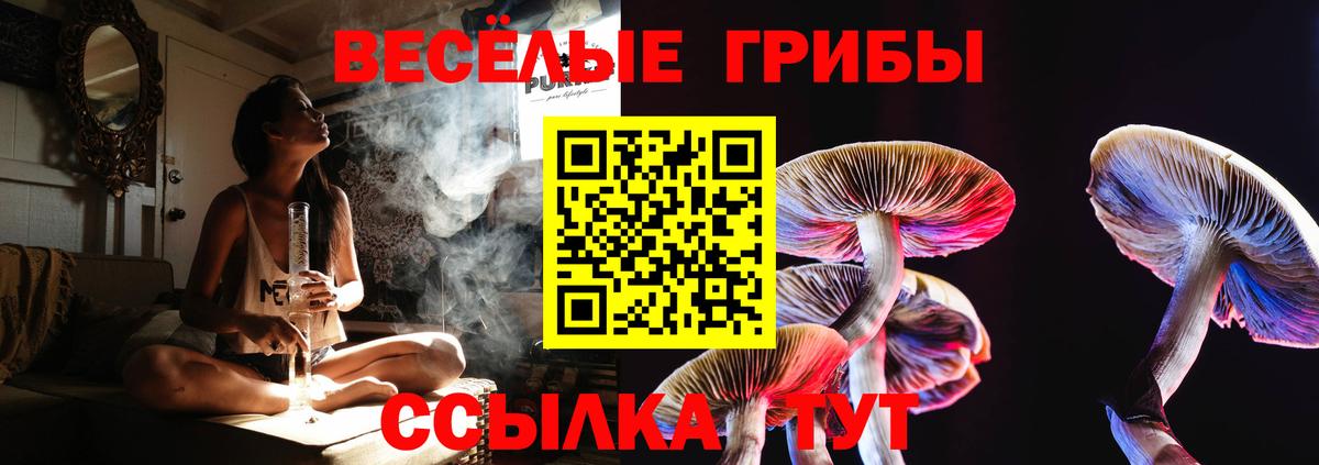 Галлюциногенные грибы мицелий  Вход с VPN  Галлюциногенные грибы MAGIC MUSHROOMS  Тверь 